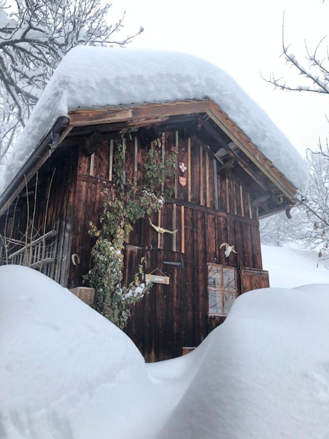 Le Pika Bed & Breakfast Отелюс Екстериор снимка