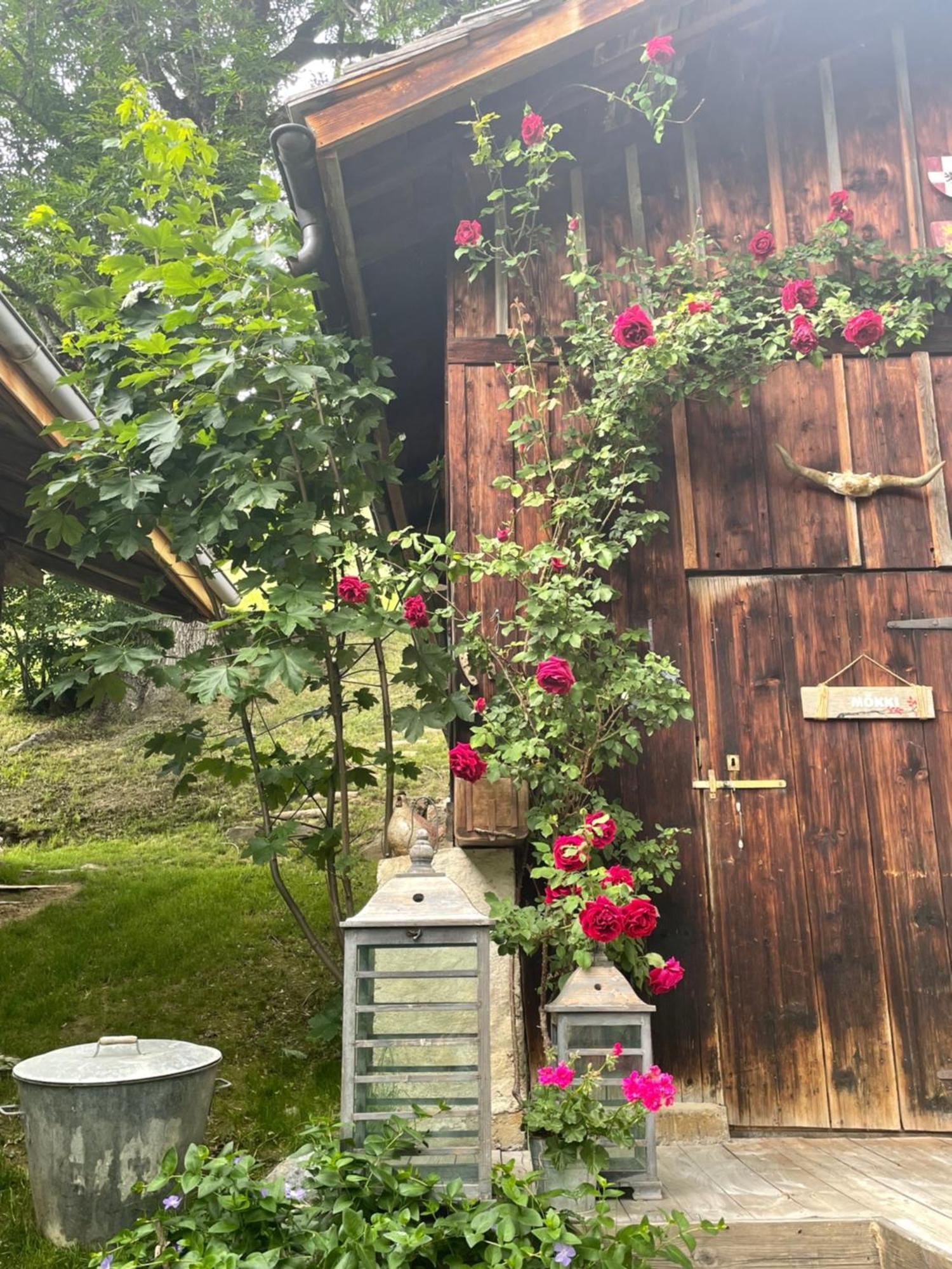 Le Pika Bed & Breakfast Отелюс Екстериор снимка